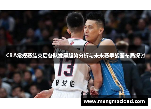 CBA常规赛结束后各队发展趋势分析与未来赛季战略布局探讨