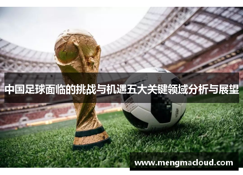 中国足球面临的挑战与机遇五大关键领域分析与展望