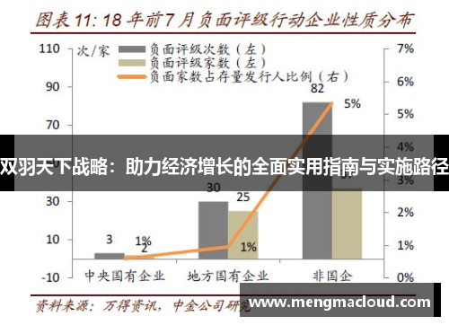 双羽天下战略：助力经济增长的全面实用指南与实施路径