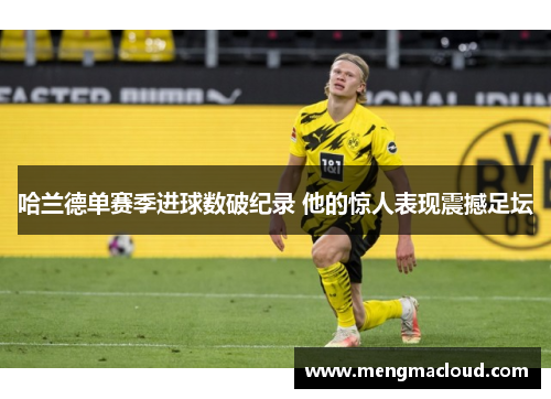 哈兰德单赛季进球数破纪录 他的惊人表现震撼足坛