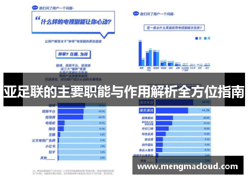 亚足联的主要职能与作用解析全方位指南