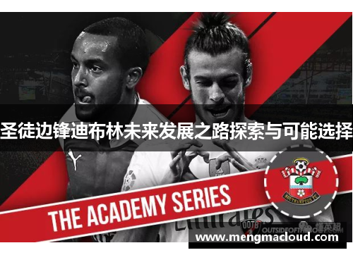 圣徒边锋迪布林未来发展之路探索与可能选择
