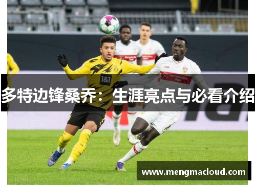 多特边锋桑乔：生涯亮点与必看介绍