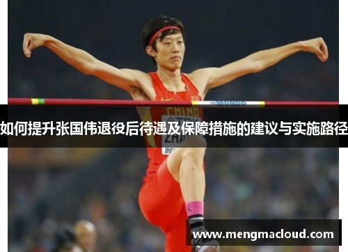 如何提升张国伟退役后待遇及保障措施的建议与实施路径