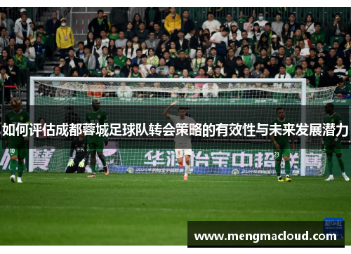 如何评估成都蓉城足球队转会策略的有效性与未来发展潜力